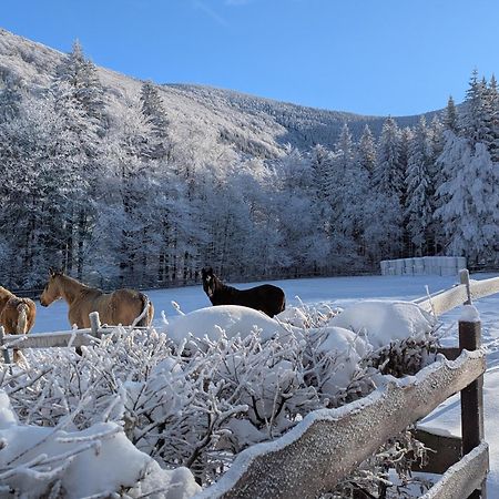 Appartamento Jízdárna Malenovice Malenovice  Esterno foto