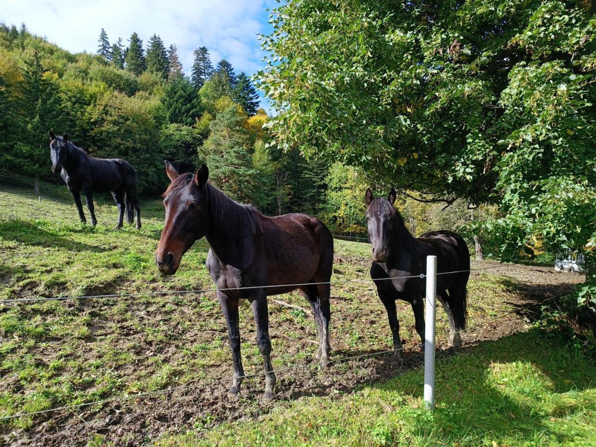 Appartamento Jízdárna Malenovice Malenovice  Esterno foto