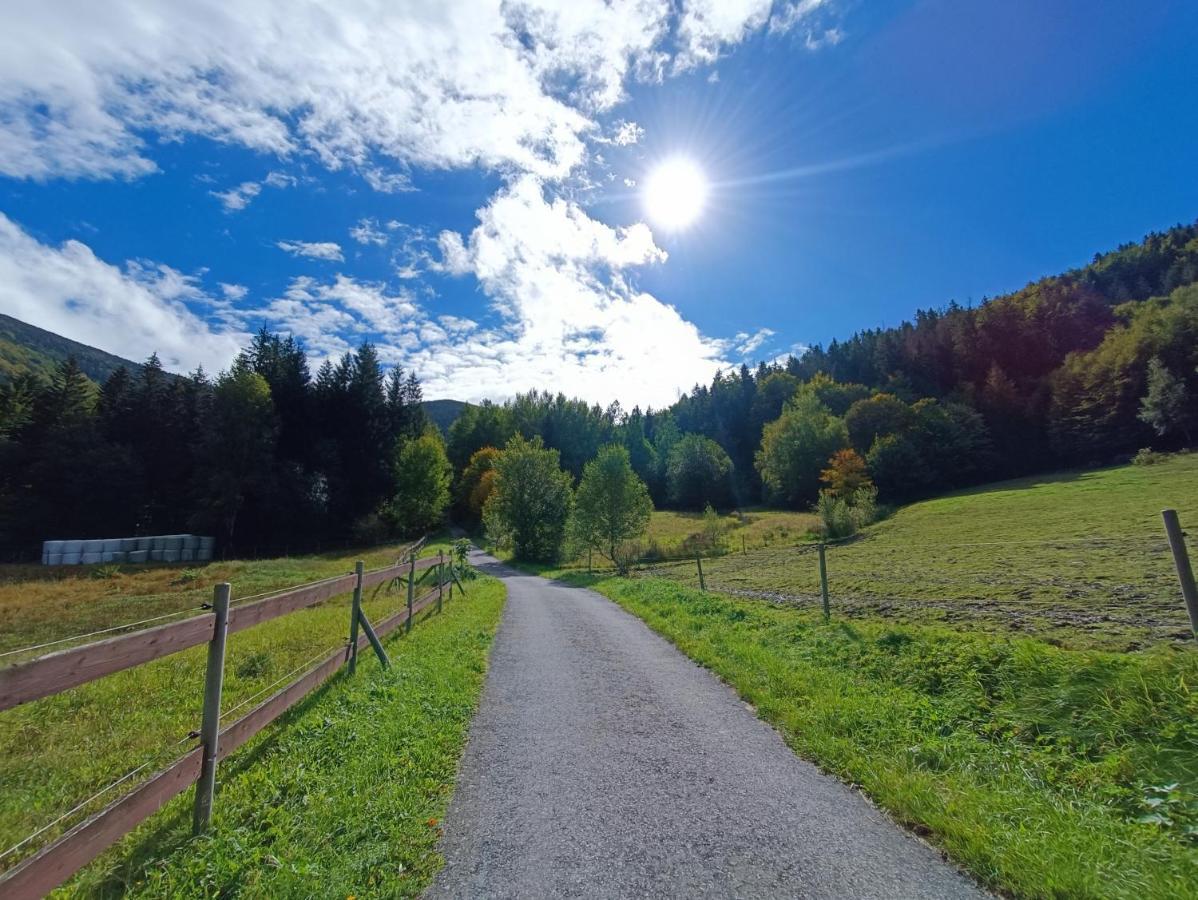 Appartamento Jízdárna Malenovice Malenovice  Esterno foto