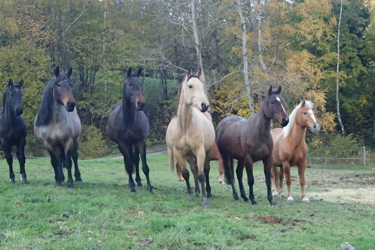 Appartamento Jízdárna Malenovice Malenovice  Esterno foto